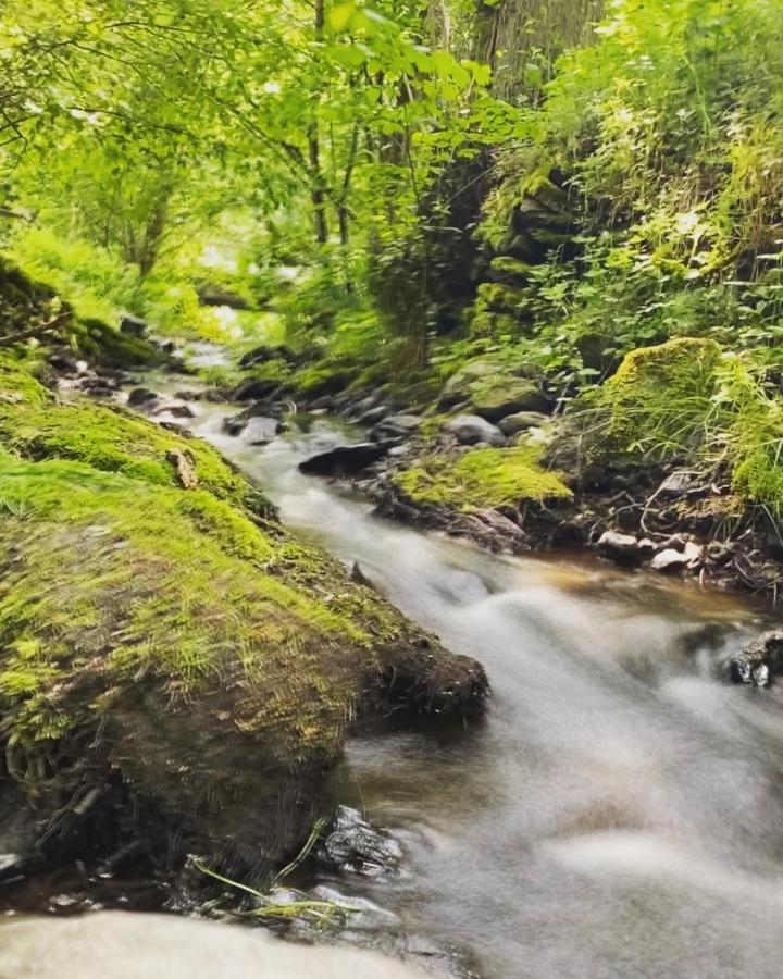 Frankenwald * Naila