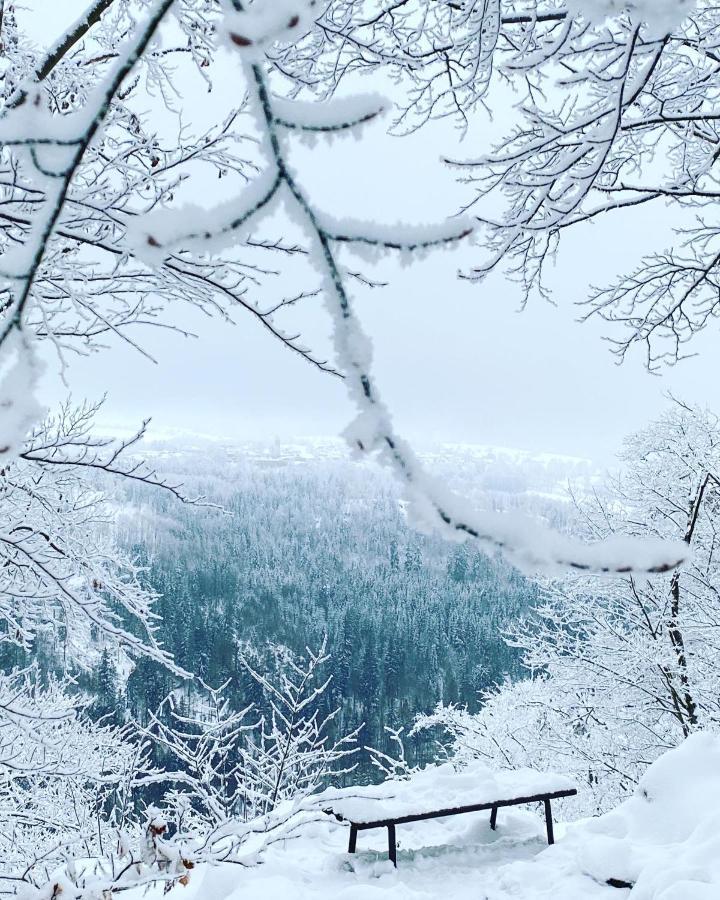 Frankenwald Lejlighed *
