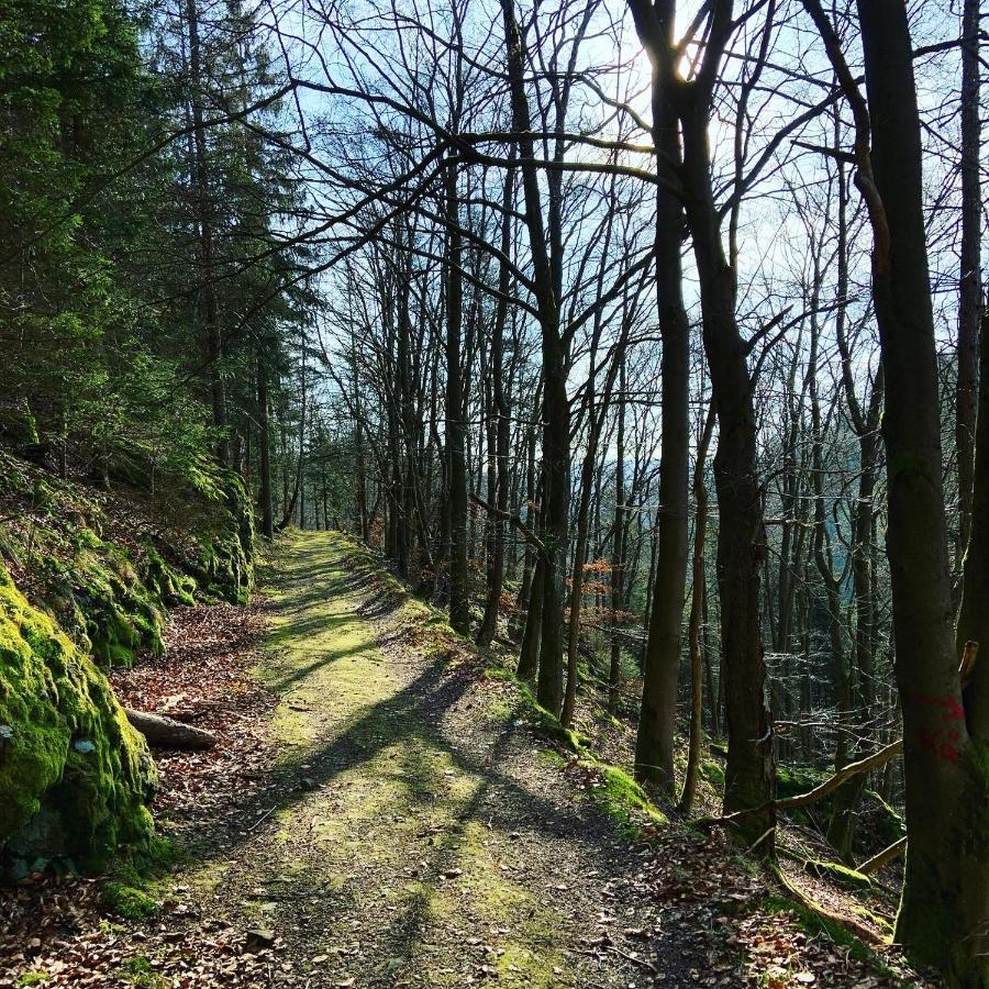 Frankenwald